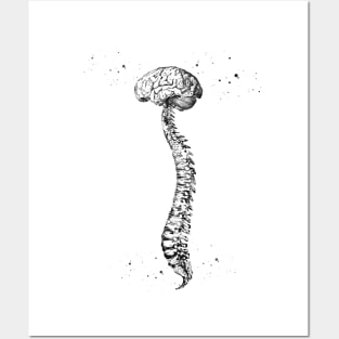 Human Spine with Brain Posters and Art